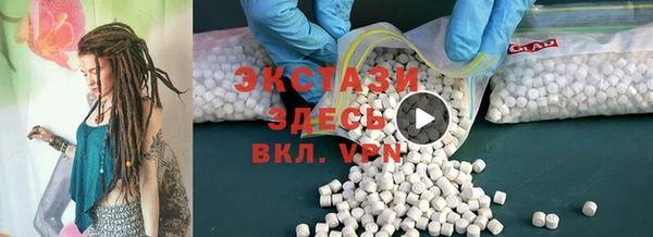 ECSTASY Богданович